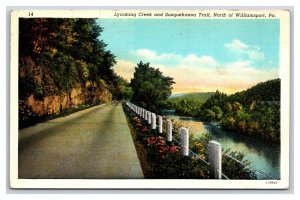 Lycoming Creek Susquehanna Trail Williamsport Pennsylvania PA WB Postcard N20