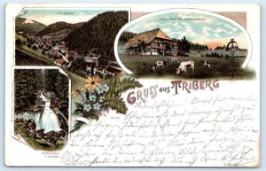 GRUSS AUS TRIBERG, Germany ~ 1897 ~  Views of TOWN in BLACK FOREST  Postcard