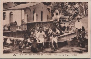 Algeria Blida Les Gorges De La Chiffa Vintage Postcard C152