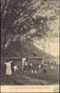 Hawaii Islands, Natives under the BAMBOO Tree (1920s)