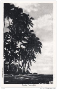 FIJI , 30-40s ; Costal Palms