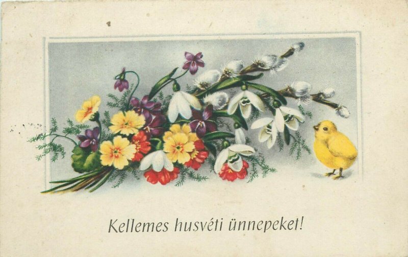 Hungary 1940s Easter greetings postcard snowdrops flowers fantasy & chicken