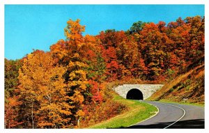 Postcard HIGHWAY SCENE Cherokee North Carolina NC AQ5380