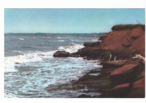 Rich Red Soil And Surf, Prince Edward Island, Vintage Chrome Postcard