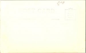 RPPC Postcard Hawaiian Rice Fields with Palm Trees 1950s