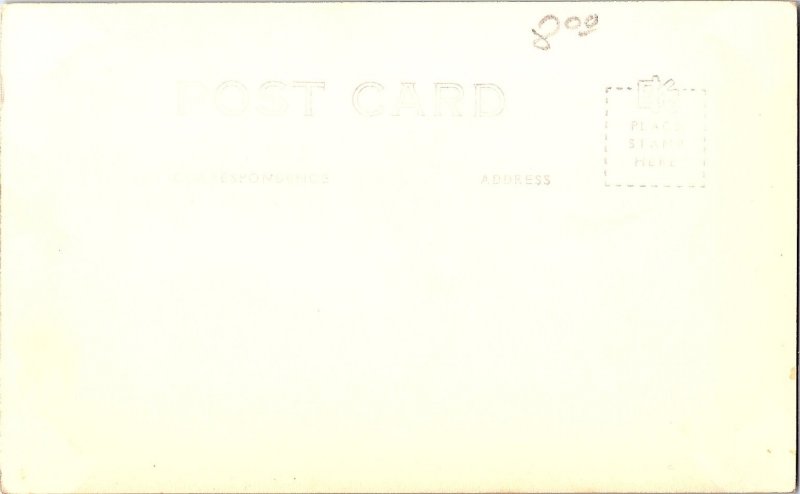 RPPC Postcard Hawaiian Rice Fields with Palm Trees 1950s