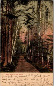 Birch-Lined Road in the Woods, Maine Undivided Back c1906 Vintage Postcard B52