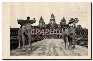 Modern Postcard Elephants Elephant