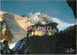 Postcard Modern Combat on Peaks Images With us