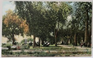 Harrisburg Pa Park Along Susquehanna River #4 Postcard E5