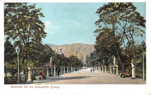 ALAMEDA DE LOS DESCALZOS LIMA PERU POSTCARD (c. 1920s)