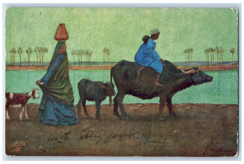 c1910 Buffalo, Goat, Humour in Egypt Antique Oilette Tuck Art Postcard 