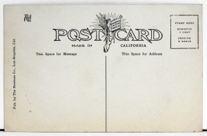 After the Storm, Mt. Wilson, Cal.