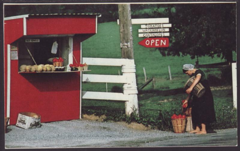 Amish Fruit and Vegetable Stand Postcard