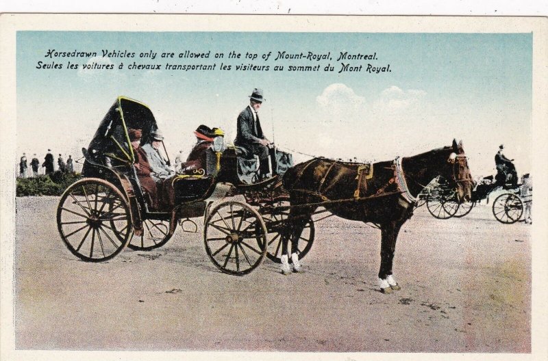 Canada Montreal Horse Drawn Carriage On Mount Royal sk4690