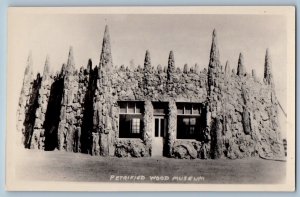 Lemmon South Dakota SD Postcard RPPC Photo Petrified Wood Museum c1910's Antique