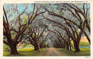 Between Beaufort and Walterboro Walterboro, SC