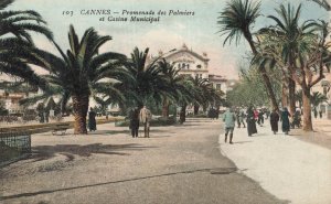 Cannes France~Promenade des Palmiers & Casino Municipal Postcard