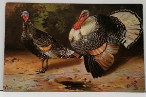 Thanksgiving PRIZE TURKEYS Tucks OILETTE A/S no. 9642 Postcard F16