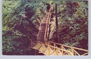 Area Of Joseph Howe Falls, Victoria Park, Truro, NS, Vintage Chrome Postcard