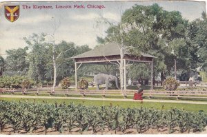 CHICAGO, Illinois, PU-1911; The Elephant, Lincoln Park