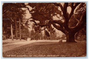 1911 The Oaks University Of California Berkeley Oakland CA Antique Postcard