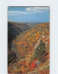 Postcard Blackwater Canyon, Monongahela National Forest, West Virginia