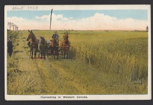 Western Canada - Harvesting Grain - Horses Reaper 1920 Pub by Valentine ~ WB