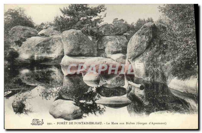 Old Postcard Foret Fontainebleau La Mare aux Biches Gorges of Apremont