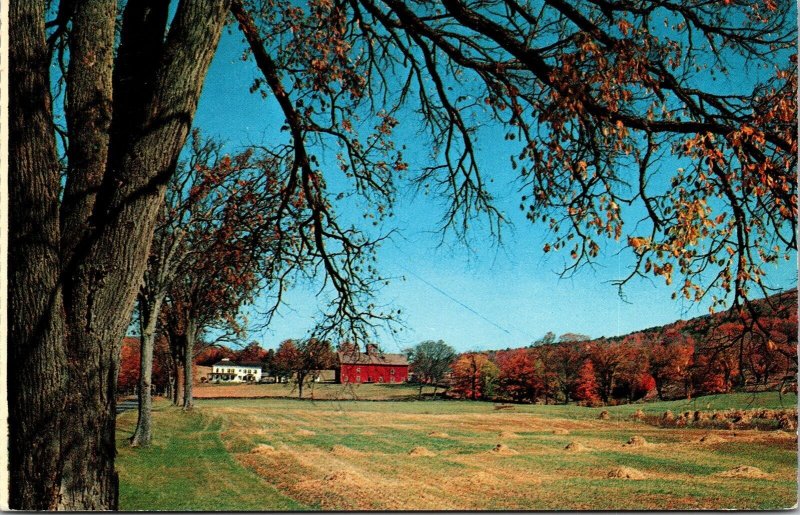 Country Scene Windham Catskill Mountains New York NY Postcard VTG UNP Vintage 