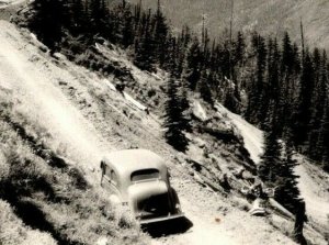 Vintage 1950's RPPC Postcard Hurricane Ridge Highway Olympic National Park WA