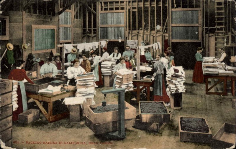 Fresno California CA Raisin Packing Plant Women Workers c1910 Vintage Postcard