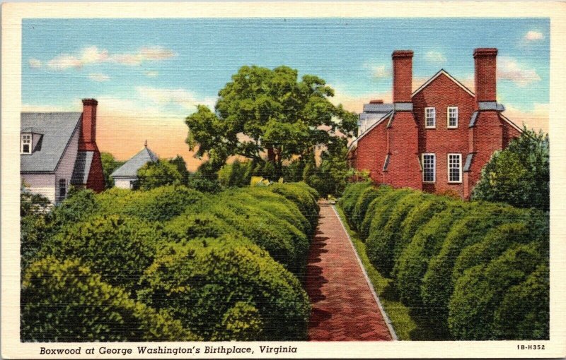 Boxwood At George Washington Birthplace Virginia VA Linen Postcard UNP Curteich 