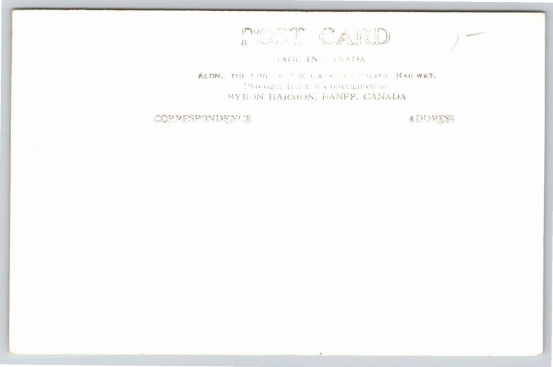 RPPC~Elk In Forest Banff Canada~Real Photo Postcard