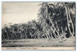 c1910 Series A No. 1 Cocoanut Palms Limon Costa Rica Antique Postcard