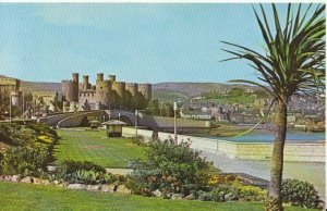 Wales  Postcard - Conway Castle - Caernarvonshire - Ref TZ3215