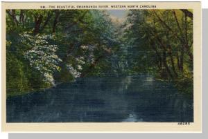 Classic Western, NC Postcard, Swannanoa River, Near Mint!