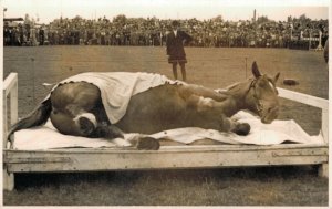 Horse Sports Hippique Real Photo Postcard 03.91