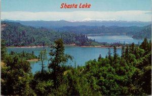 Shasta Lake CA near Redding Unused Vintage Postcard H21