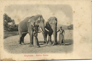 PC CPA SINGAPORE, ELEPHANT, NATIVE STATES, Vintage EMBOSSED Postcard (b19613)