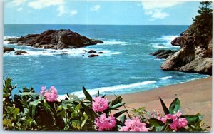 Postcard - Wild rhododendron blooms contrast with rugged coast