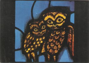 Animals. Two owls  Nice modern French art postcard