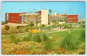 1960 MARINELAND OF THE PACIFIC OCEANARIUM VINTAGE CHROME POSTCARD 