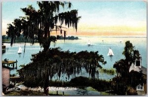 Eustis Florida FL Gobbler's Point Lake Eustis Sailboats In The Distance Postcard