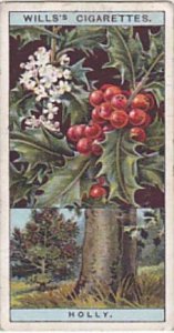 Wills Vintage Cigarette Card Flowering Trees &  Shrubs 1924 No 25 Common H...