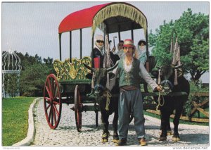 Old Turkish Carriage, Camlica Hill, ISTANBUL, Turkey, 50-70's