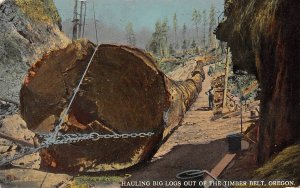 Hauling Big Logs Out of Timber Belt Logging Lumber Oregon 1910c postcard