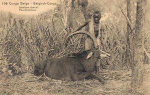 Congo Belge Belgisch Congo Antilope Cheval Paardantilope 02.99