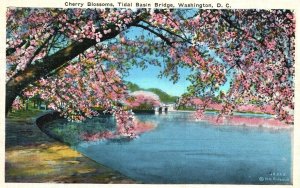 Washington D.C., Japanese Cherry Blossoms Tidal Basin Bridge, Vintage Postcard