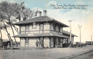Fine Roads Bartlett Pears - Clint, Texas TX